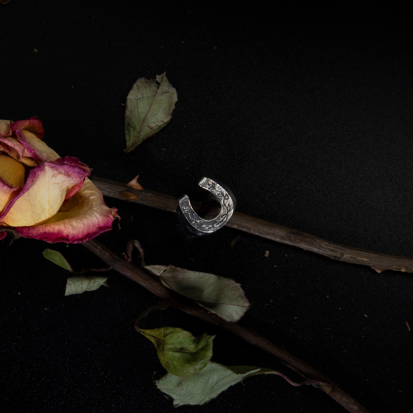 Horseshoe in solid silver, perfect for surfers